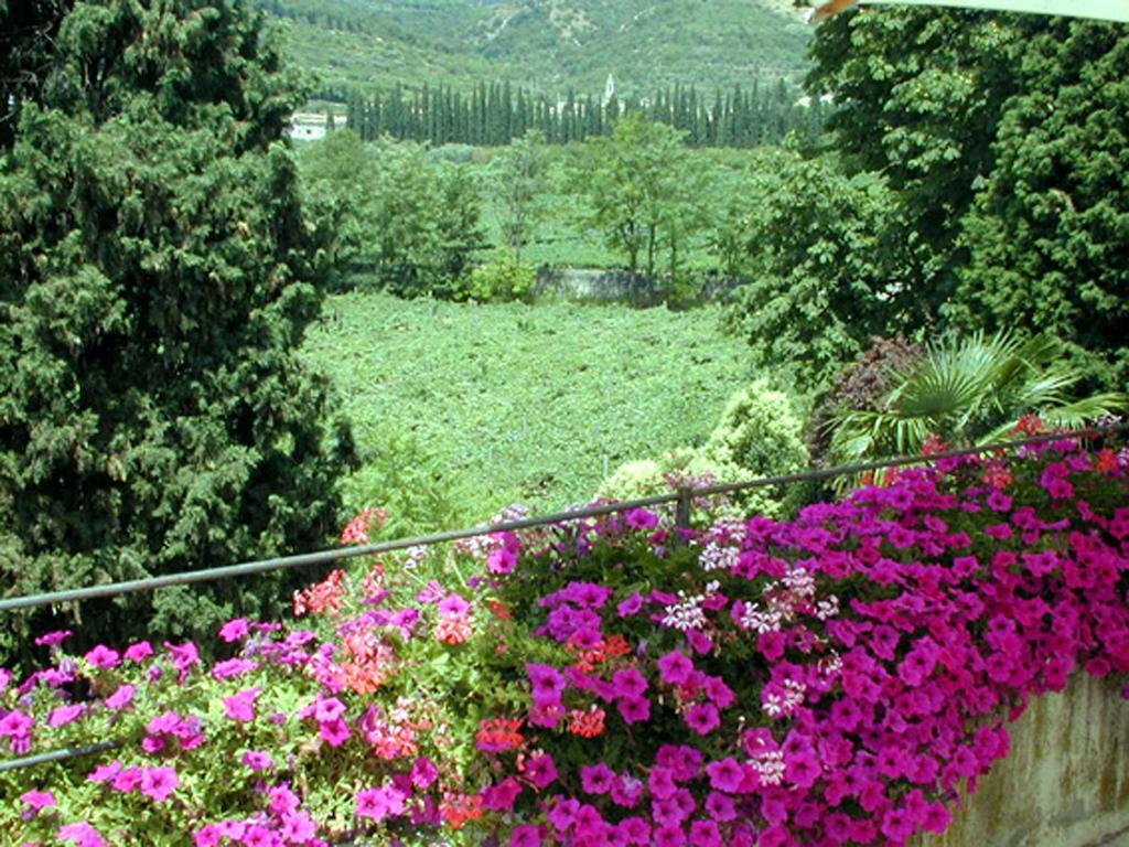 B&B Villa Monteleone SantʼAmbrogio di Valpolicella Esterno foto