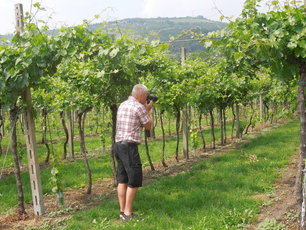 B&B Villa Monteleone SantʼAmbrogio di Valpolicella Esterno foto